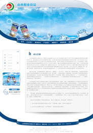 山西明泰食品网站制作方案 高效专业，助力品牌腾飞