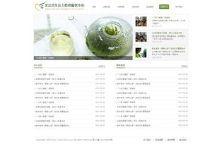 网思科技 北京网站设计与制作领域的卓越实践